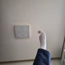 공존의 행복 | [일상] 현타와 행복이 공존했던 일상(~25. 12. 21.)