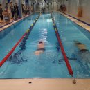 에스에스스포츠 이미지