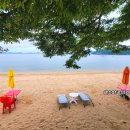 사촌해수욕장야영장 이미지