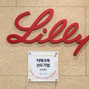 릴리 이미지