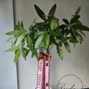 신성냉동 이미지