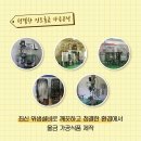진도울금 이미지