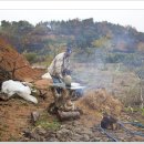 옥정농장 이미지