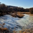 종합운동장 사거리 이미지