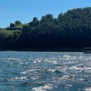 여수쭈꾸미 이미지