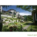 엘가팬션 이미지