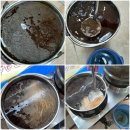 가월가물치 이미지