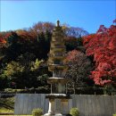 [장성] 천년고찰 백양사(白巖寺) 쌍계루 애기단풍. 이미지