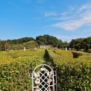 외도보타니아 이미지