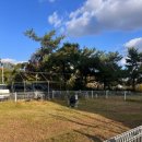 멍스 | [화성카페리뷰][내돈내산]멍스마일 애견카페 방문후기