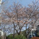 [210321]경성대 오늘나 사진관에서 증명사진 get!