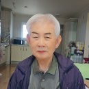 펠트카네이션 브로치만들기 이미지