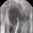 느낌이있는필치과의원 이미지