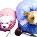 (주)월드펫 이미지