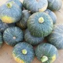 금반농장1 이미지