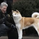 기다리다 이미지