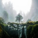 인컴소프트 | 미국 기술 주 소수점 매수 8개월째 했더니