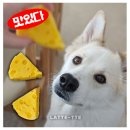 수제 과일젤리 만들기Ⅰ | 강아지 귤빵 레시피 만들기 전자레인지 뚝딱