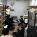 펫뉴트리션