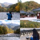 주식회사이랜드파크켄싱턴호텔설악 | 강원도 단풍 명소 설악산 백담사 여행 가는법 셔틀버스 주차 등