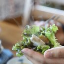 부전기장골목시장 이미지