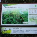 옥마산등산로 이미지