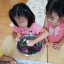 서부병설유치원 이미지