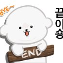 남산연합동물병원 네이버블로그