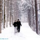 안흥목장 이미지