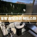 GS더프레시포항상도점 | [포항] 모모두피탈모센터 | 18년 경력 원장 1:1 두피 디톡스케어 맞춤 관리 솔직 후기