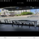 야옹아 멍멍해봐 오산점 이미지