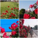 조수보건진료소 이미지