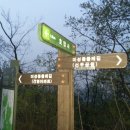 시호천약수터 네이버블로그