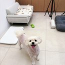 보노보노 미용실