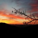 축령산휴림 이미지