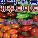 진양원예사 이미지