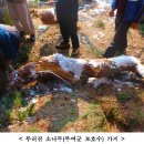 부여 대조사(大鳥寺) 이미지