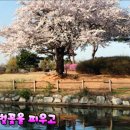 달빛섬 이미지