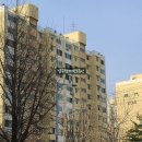 압구정-203 이미지