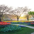 호현1길 이미지