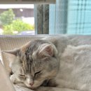 새날농장 | Jun(4)