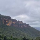 블루마운틴 이미지