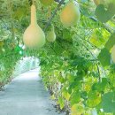 퇴곡1리 이미지