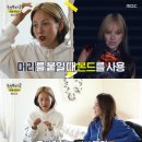 사자머리 이미지