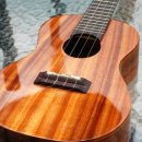 우쿨렐레 중급 이미지