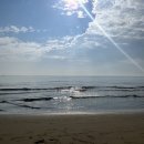 버무리 떡볶이 (다대점) 이미지