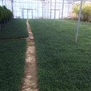 애란농장 이미지