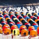 평창송어 이미지