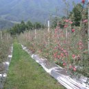 햇살찬농장 이미지