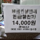 엔제리야 이미지